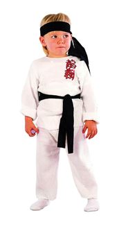 Picture of KARATE MAJSTOR