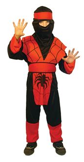 Picture of SPIDER NINJA