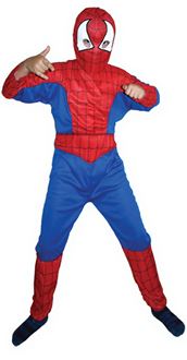 Picture of SPIDER HEROJ