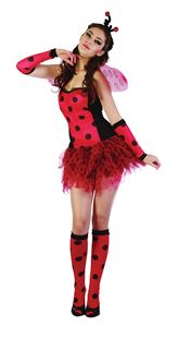 Picture of LADYBUG