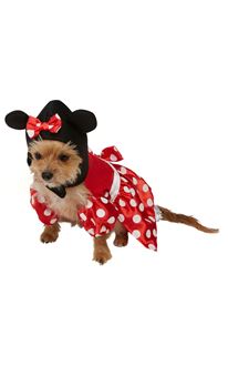 Picture of MINNIE MOUSE HALJINA ZA LJUBIMCE