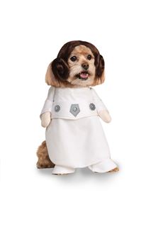 Picture of PRINCESS LEIA