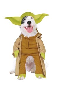Picture of YODA