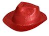 Picture of COWBOY GLITTER HAT